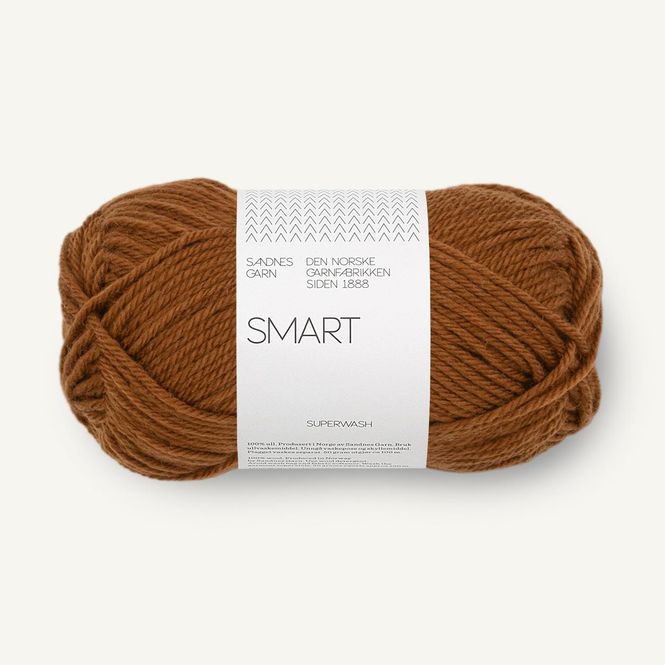 Hovedbilde Smart