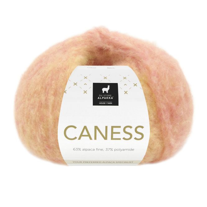 Hovedbilde Caness