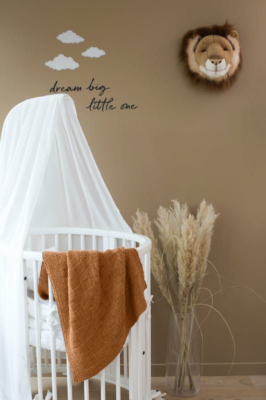 DG 434-14B CARO BABYTEPPE