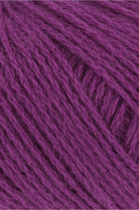 Cashmere Premium