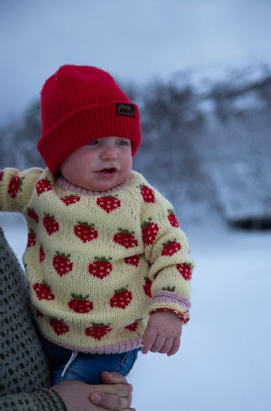 Hovedbilde Kajas Jorbærgenser - Gul